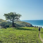 IMG_1097